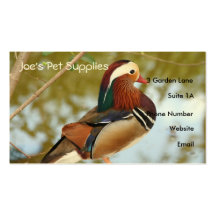 Cartes de visite de canard de mandarine modèles de cartes de visite