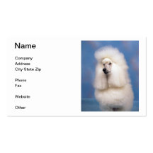 Cartes de visite de caniche standard cartes de visite personnelles