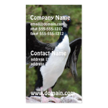 Cartes de visite de Cormorant Modèle De Carte De Visite