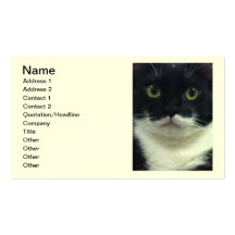 Cartes de visite de Kitty de smoking Cartes De Visite Professionnelles