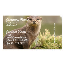Cartes de visite de loutre carte de visite