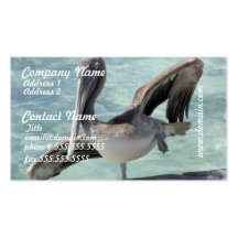 Cartes de visite de pélican cartes de visite personnelles