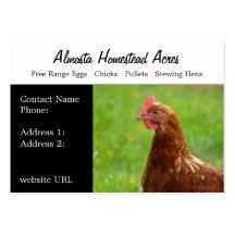 Cartes de visite de poulet   de pays modèles de cartes de visite