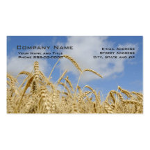 Cartes de visite de producteur de blé cartes de visite professionnelles