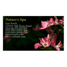 Cartes de visite de spa de modèle modèles de cartes de visite