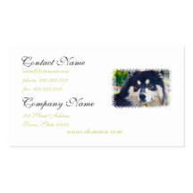 Cartes de visite finlandais doux de Lapphund Cartes De Visite Personnelles