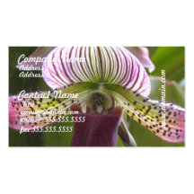 Cartes de visite peu communs d'orchidée modèles de cartes de visite