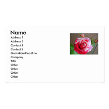 Cartes de visite roses carte de visite