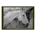 Cartes de voeux 5x7 "sages"