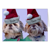 Cartes de voeux de Noël de Shih Tzus