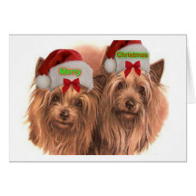 Cartes de voeux de Père Noël Terrier