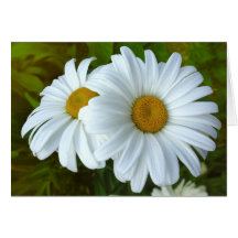 Cartes de voeux faites sur commande de fleurs sauv