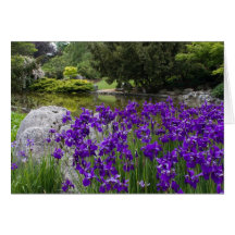 Cartes d'iris japonais