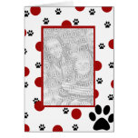 Cartes photos d'animal familier