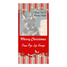 Cartes photos de Noël de vos animaux familiers ! Photocarte Personnalisée