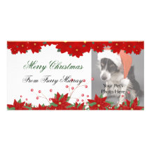 Cartes photos de Noël de vos animaux familiers ! Photocartes Personnalisées