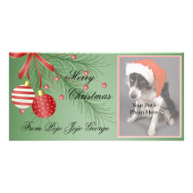 Cartes photos de Noël pour vos animaux familiers ! Modèle Pour Photocarte