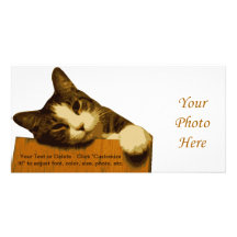 Cartes photos étendus de chat cartes de vœux avec photo