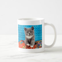 Cartes photos précieux de chat et de chaton, cadea mug
