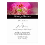 Cartes postales de faire-part de mariage