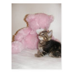 cartes postales de minou et de nounours