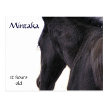 Cartes postales de Mintaka