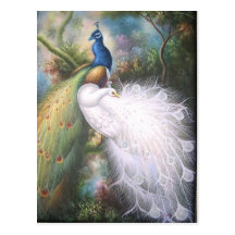 cartes postales de paons