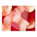 Cartes postales de Valentines