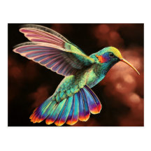 Cartes postales du colibri 2