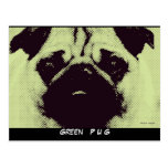 Cartes postales modèle, vert de chien de carlin