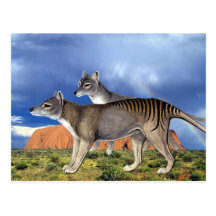 Cartes postales tasmaniennes de tigre