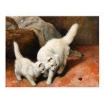 Cartes postales vintages du chat persan 1931 d'art