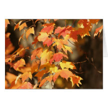 Cartes pour notes de feuille d'automne