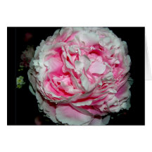 Cartes pour notes énormes de fleur