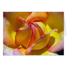Cartes roses de fleur