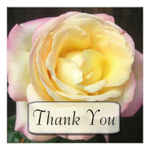 Cartes roses de Merci de paix Bristol