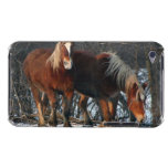 Cas belge d'iTouch de chevaux de trait Coque Case-Mate iPod Touch