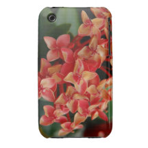 Cas d'aventure de jardin coque Case-Mate iPhone 3