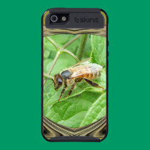 Cas de ~ d'abeille de miel coque skinit