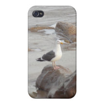 Cas de la mouette iPhone4 Coques iPhone 4/4S