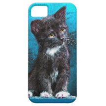 cas de l'iphone 5 de chaton de smoking coques iPhone 5