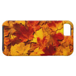 Cas de l'iPhone 5 de feuille d'automne Étui iPhone 5
