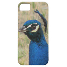 Cas de l'iPhone 5 de paon Coque iPhone 5
