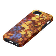 Cas de l'iPhone 5 de Vibe de Coque-Compagnon Étui iPhone 5