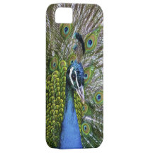 Cas de paon coque Case-Mate iPhone 5