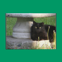 Cas de Powis d'iPad de ~ de chat noir mini icoque powis
