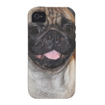 Cas d'Iphone 4 de carlin Coques Case-Mate iPhone 4