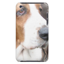 Cas d'iTouch de Basset Hound Coques iPod Touch