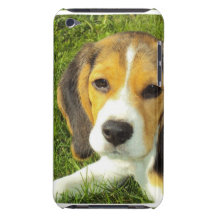 Cas d'iTouch de beagle Coque iPod Case-Mate