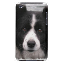 Cas d'iTouch de border collie Coque Barely There iPod